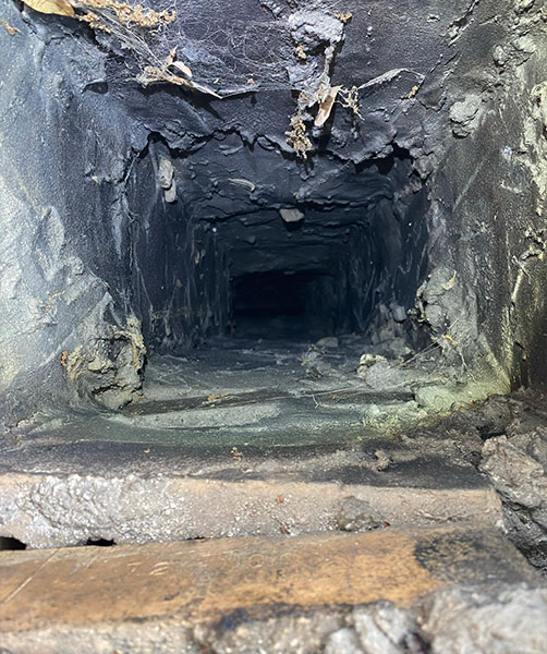 Chimney Inspection